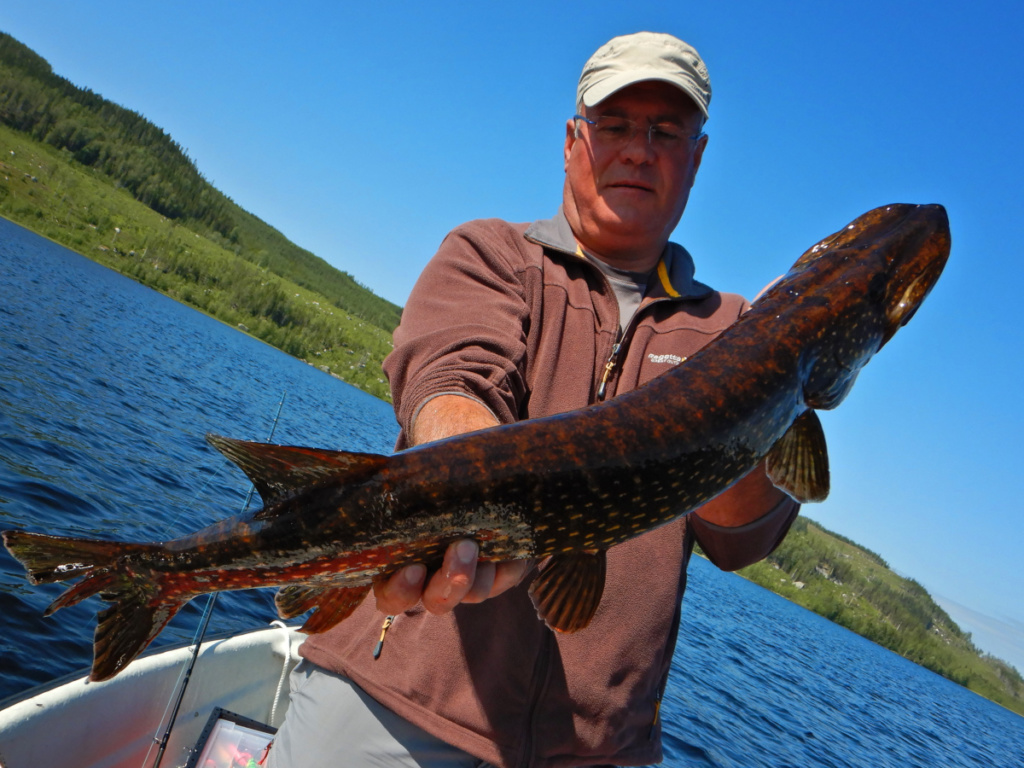Séjour de pêche en Suède au brochet