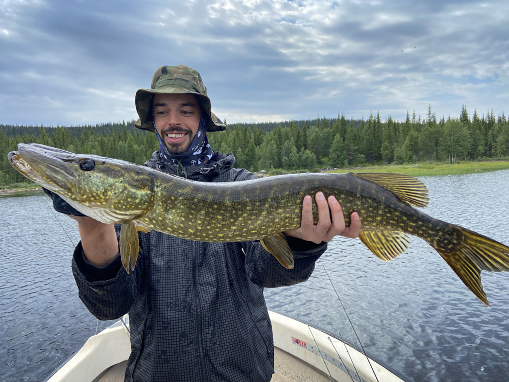 Brochet de Laponie suédoise